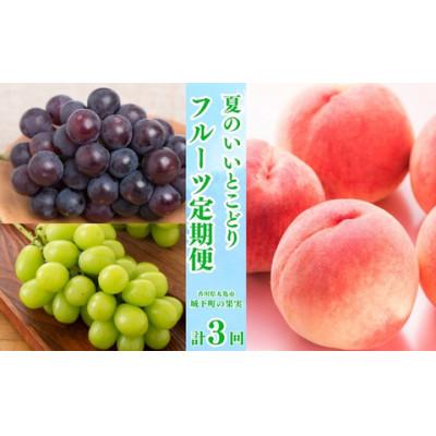ふるさと納税 丸亀市 [発送月固定定期便][ミニ3回(7・8・9月)]少量版・夏のいいとこどり定期便全3回