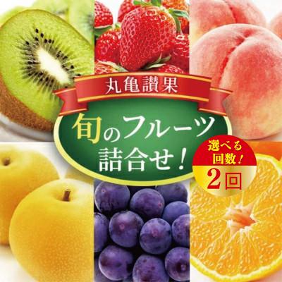 ふるさと納税 丸亀市 [毎月定期便]旬を見極めた厳選フルーツ詰合せ「丸亀讃果」全2回