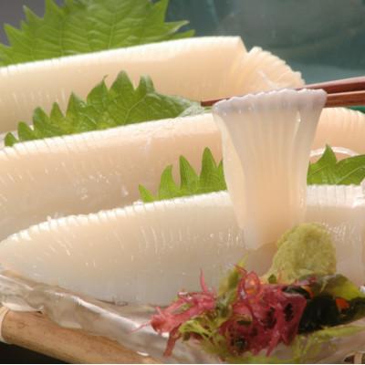 ふるさと納税 網走市 [毎月定期便]炉端・五十集屋の海鮮グルメ定期便「刺身帆立・大粒しじみ・イカ2種」全3回