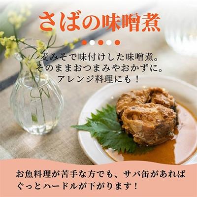 ふるさと納税 松浦市 【毎月定期便】さば味噌煮缶セット(12缶)全6回_1