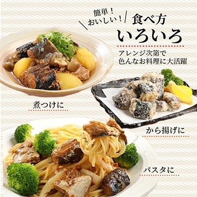 ふるさと納税 松浦市 【毎月定期便】さば味噌煮缶セット(12缶)全6回_2