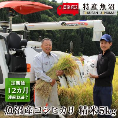 ふるさと納税 魚沼市 [毎月定期便]農家直送!魚沼産コシヒカリ(精米)5kg全12回