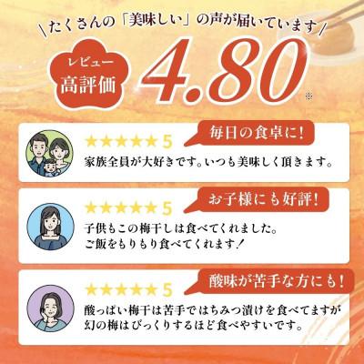 ふるさと納税 田辺市 【毎月定期便】幻の梅 500g 【はちみつ梅干/塩分5%】【okh028-tk】全3回