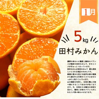 ふるさと納税 北山村 【発送月固定定期便】人気のみかんを集めた!旬の柑橘定期便【tkb111】全3回_1