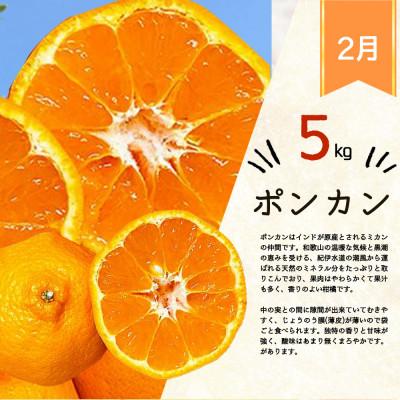ふるさと納税 北山村 【発送月固定定期便】人気のみかんを集めた!旬の柑橘定期便【tkb111】全3回_2