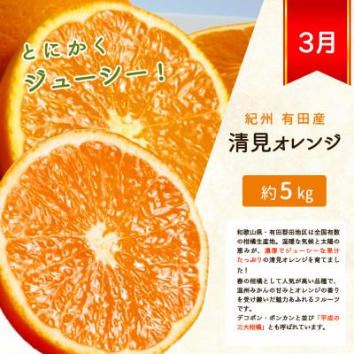 ふるさと納税 北山村 【発送月固定定期便】人気のみかんを集めた!旬の柑橘定期便【tkb111】全3回_3