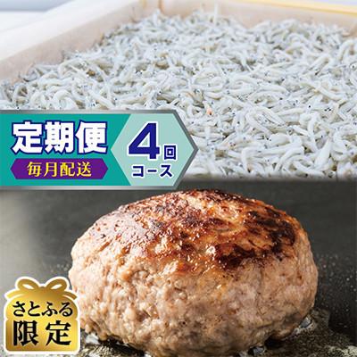 ふるさと納税 泉佐野市 [毎月定期便][さとふる限定]しらす、ハンバーグ月1回定期便 全4回