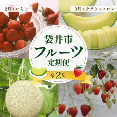 ふるさと納税 袋井市 [発送月固定定期便][2月、3月発送]静岡県袋井市の定期便全2回