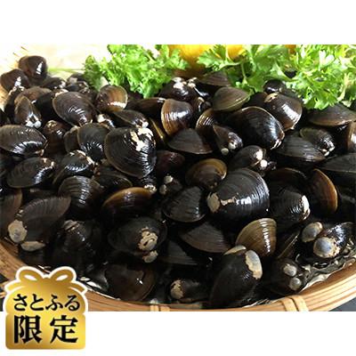 ふるさと納税 北見市 [毎月定期便][さとふる限定]人気の定期便・2代目漁師の厳選した北の味覚をお届け全3回