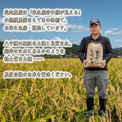 ふるさと納税 福崎町 【毎月定期便】ヒノヒカリ 八千種米 10kg全3回の画像