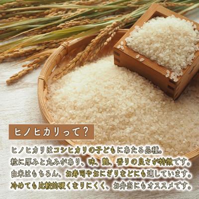 ふるさと納税 福崎町 【毎月定期便】ヒノヒカリ 八千種米 10kg全3回の画像