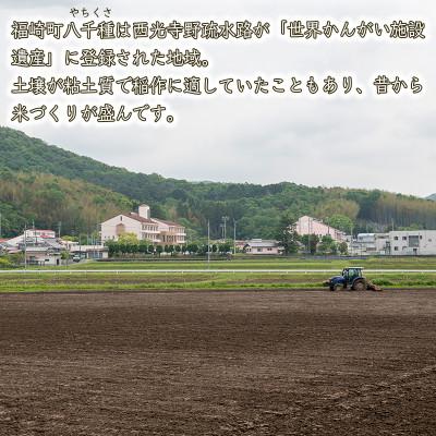 ふるさと納税 福崎町 【毎月定期便】ヒノヒカリ 八千種米 10kg全3回の画像