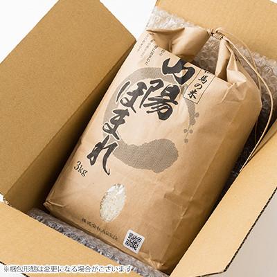 ふるさと納税 養父市 【毎月定期便】兵庫県産 但馬のお米 オリジナルブレンド米　山陽ほまれ 3kg×1全12回_2