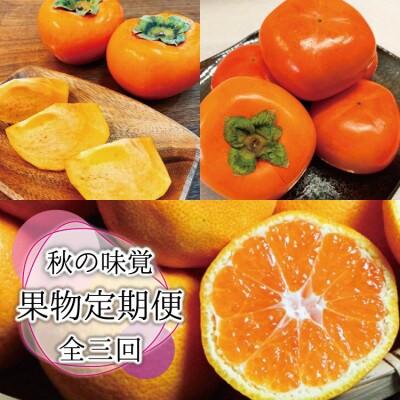 ふるさと納税 太地町 [発送月固定定期便]秋の味覚 果物定期便♪ひらたねなし柿・富有柿・田村みかん[tkb130]全3回