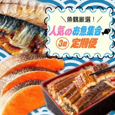 ふるさと納税 太地町 [毎月定期便]魚鶴厳選!人気のお魚集合定期便(さば・銀鮭・うなぎ)[tkb307]全3回