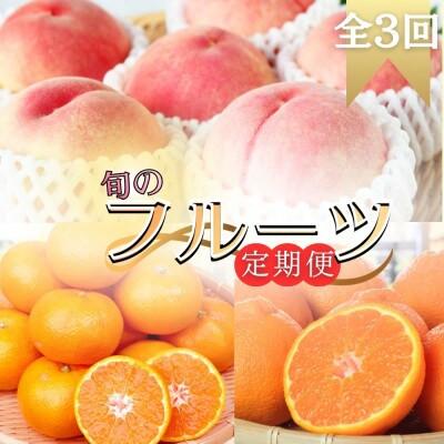 ふるさと納税 太地町 [発送月固定定期便]旬のフルーツ定期便 田村みかん・紀州デコ(不知火)・桃[tkb313]全3回