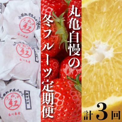 ふるさと納税 丸亀市 [発送月固定定期便]丸亀自慢のフルーツ (みかん・いちご・八朔) 香川県 丸亀市全3回
