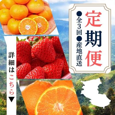 ふるさと納税 太地町 [発送月固定定期便]産地直送定期便[温州みかん・まりひめ・紀州デコ][tkb352]全3回