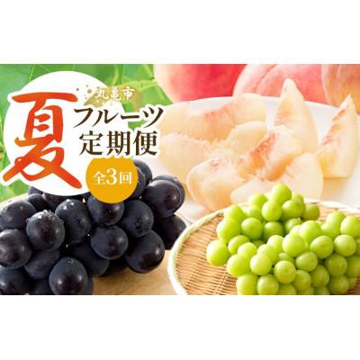 ふるさと納税 丸亀市 [発送月固定定期便]夏のフルーツ定期便 夏にしか出逢えない丸亀自慢のフルーツ全3回