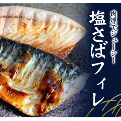 ふるさと納税 太地町 [毎月定期便]ご家庭用 塩さばフィレを3.5kgお届け定期便[tkb354]全3回