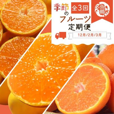ふるさと納税 太地町 [発送月固定定期便]和歌山産旬のフルーツ定期便 (田村みかん・はるみ・不知火)[tkb376]全3回