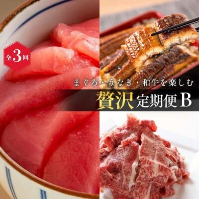 ふるさと納税 太地町 [毎月定期便]まぐろ・うなぎ・和牛を楽しむ贅沢定期便B [tkb387]全3回