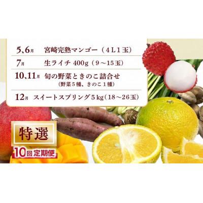 ふるさと納税 綾町 【発送月固定定期便】特選果物・野菜定期便【Y21】(綾町)全10回_2