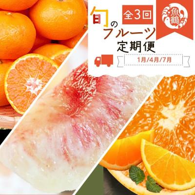ふるさと納税 太地町 [発送月固定定期便]和歌山産旬のフルーツ定期便 (みかん・清見オレンジ・桃)[tkb381]全3回