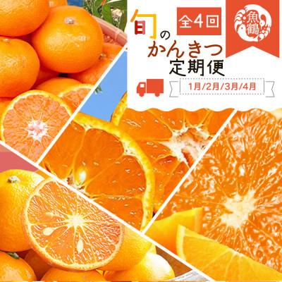 ふるさと納税 太地町 [発送月固定定期便]和歌山産ご家庭用柑橘セット(みかん・不知火・せとか・清見)[tkb412]全4回