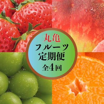 ふるさと納税 丸亀市 [発送月固定定期便]丸亀のフルーツ定期便 全4回 (いちご 桃 シャインマスカット みかん)全4回