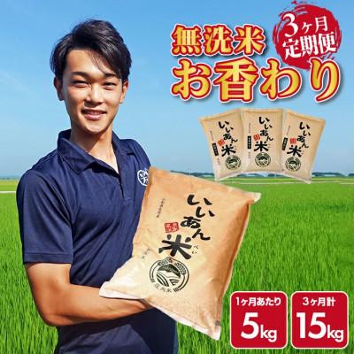 ふるさと納税 酒田市 [毎月定期便]無洗米 お香わり(山形95号)5kg×3ヶ月連続 計15kg 山形県庄内産全3回