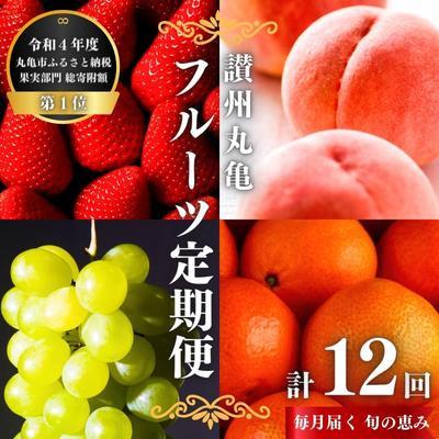 ふるさと納税 丸亀市 [発送月固定定期便][12回定期便]讃州丸亀 旬の果実便り 絶品フルーツの定期便全12回