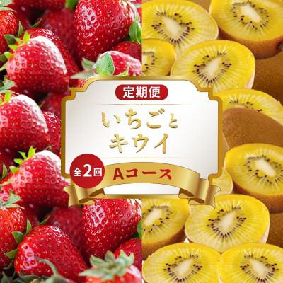 ふるさと納税 丸亀市 [発送月固定定期便]フルーツ定期便 Aコース(いちご キウイ) 香川県 丸亀市全2回