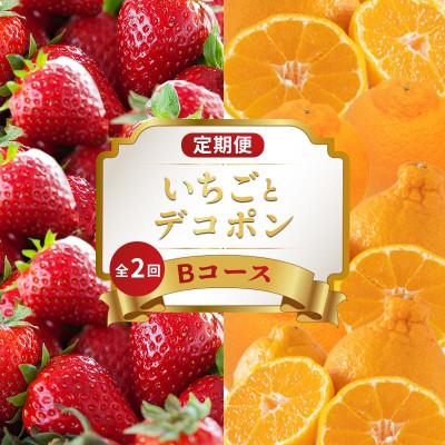ふるさと納税 丸亀市 [発送月固定定期便]フルーツ定期便 Bコース (いちご デコポン) 香川県丸亀市全2回