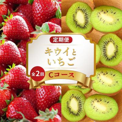 ふるさと納税 丸亀市 [発送月固定定期便]フルーツ定期便 Cコース (香緑キウイ いちご)香川県丸亀市全2回