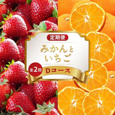 ふるさと納税 丸亀市 [発送月固定定期便]フルーツ定期便 Dコース(みかん いちご) 香川県 丸亀市全2回