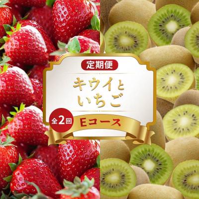 ふるさと納税 丸亀市 [発送月固定定期便]フルーツ定期便 Eコース(キウイ いちご) 香川県 丸亀市全2回