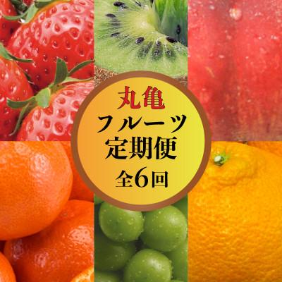 ふるさと納税 丸亀市 [発送月固定定期便][6回定期]丸亀のフルーツ定期便 全6回 香川県 丸亀市全6回