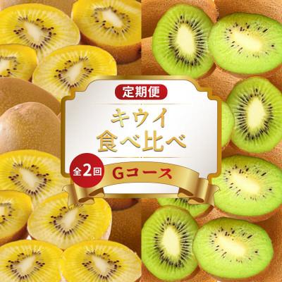 ふるさと納税 丸亀市 [発送月固定定期便]フルーツ定期便 Gコース (ゴールドキウイ 香緑キウイ)全2回
