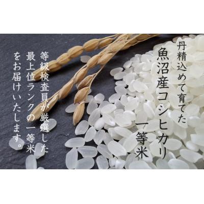 ふるさと納税 新潟県 【毎月定期便】魚沼産コシヒカリ (精米) 5kg 特A 一等米全3回