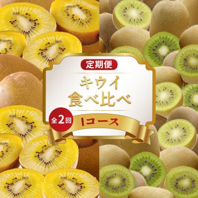ふるさと納税 丸亀市 [発送月固定定期便]フルーツ定期便 Iコース(ゴールドキウイ キウイっこ)全2回