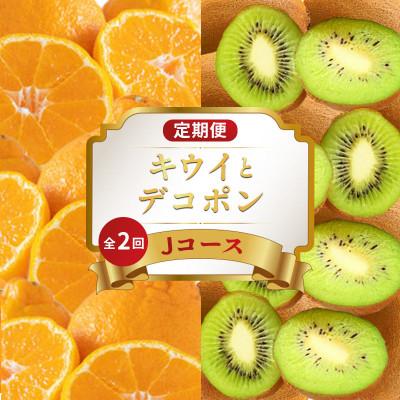 ふるさと納税 丸亀市 [発送月固定定期便]フルーツ定期便 Jコース (香緑キウイ デコポン)全2回