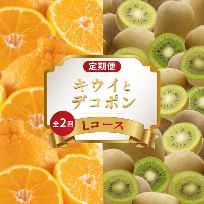 ふるさと納税 丸亀市 [発送月固定定期便]フルーツ定期便 Lコース (キウイっこ デコポン)全2回