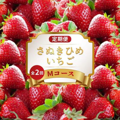 ふるさと納税 丸亀市 [発送月固定定期便]フルーツ定期便 Mコース(いちご さぬきひめ)全2回