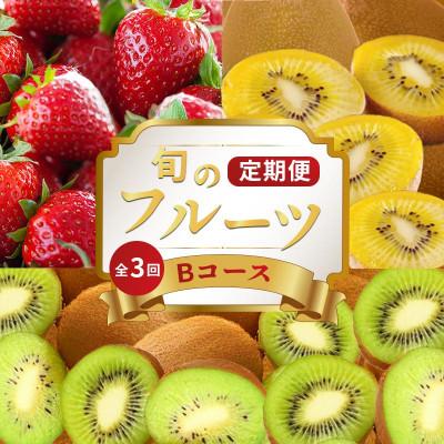 ふるさと納税 丸亀市 [発送月固定定期便]フルーツ定期便 Bコース(ゴールドキウイ いちご 香緑キウイ)全3回