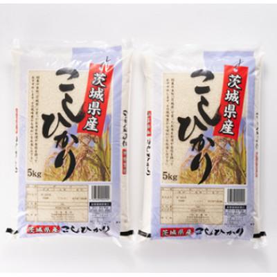 ふるさと納税 稲敷市 【毎月定期便】茨城県稲敷市産こしひかり10kg(5kg×2) 全3回の画像