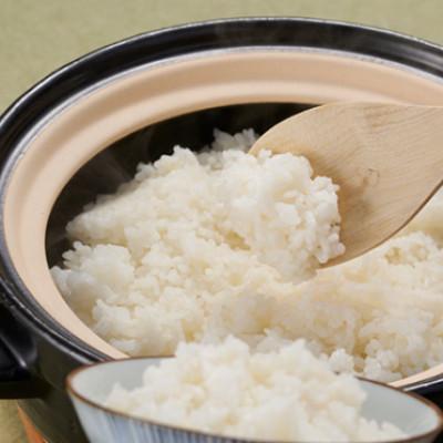 ふるさと納税 稲敷市 【毎月定期便】茨城県稲敷市産こしひかり10kg(5kg×2) 全3回の画像