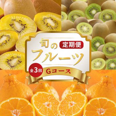 ふるさと納税 丸亀市 [発送月固定定期便]フルーツ定期便 Gコース(ゴールドキウイ キウイっこ デコポン)全3回