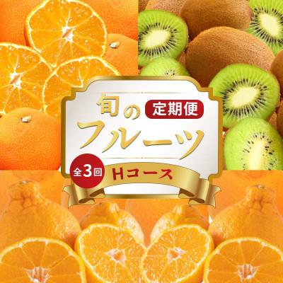 ふるさと納税 丸亀市 [発送月固定定期便]フルーツ定期便 Hコース (香緑キウイ デコポン 小原紅早生みかん)全3回