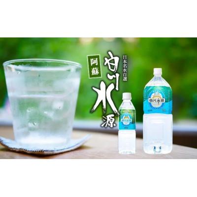 ふるさと納税 南阿蘇村 【毎月定期便】白川水源ミネラルウォーター20L全12回の画像